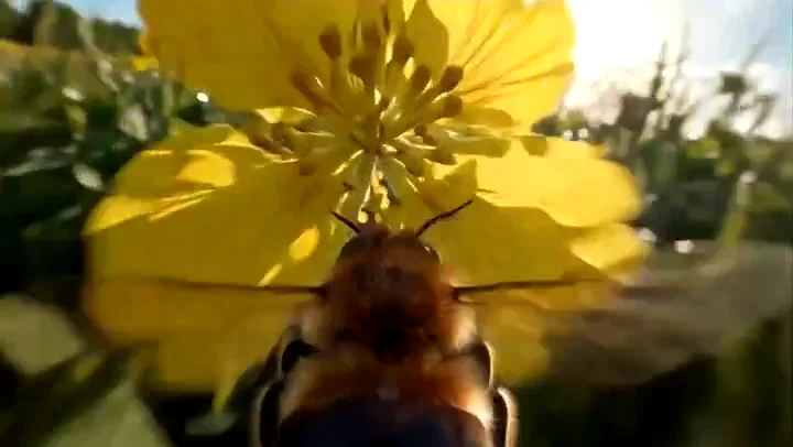 Eine Videoidee weiterentwickeln